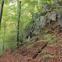 Ein schmaler Waldweg führt durch einen herbstlichen Wald mit Laub am Boden und Felsen an der Seite., © Bad Urach Tourismus