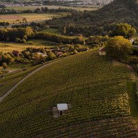 Luftaufnahme einer hügeligen Landschaft mit Weinbergen, Bäumen und einer Aussichtsplattform. Im Hintergrund sind Felder und Gebäude zu sehen., © Susi Maier