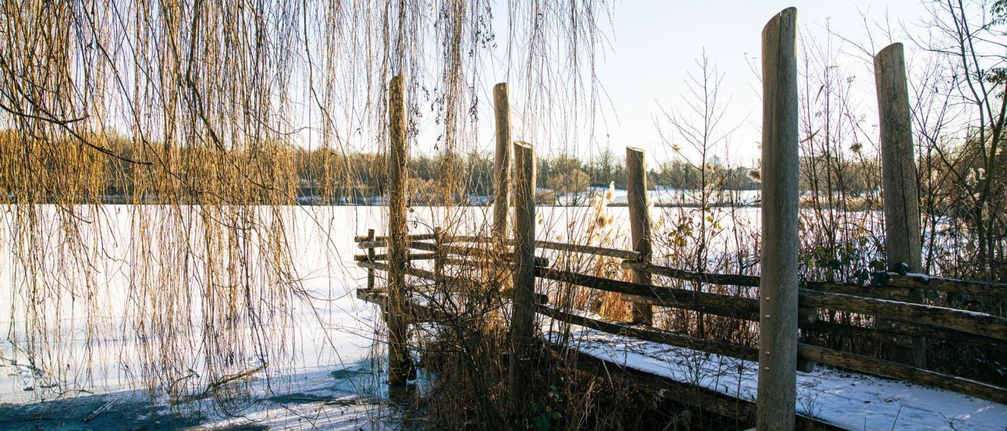 Ein verschneiter Steg am Max-Eyth-See, umgeben von h&auml;ngenden Weidenzweigen und winterlicher Vegetation. Der See ist teilweise zugefroren., &copy; Stuttgart-Marketing GmbH, Sarah Schmid