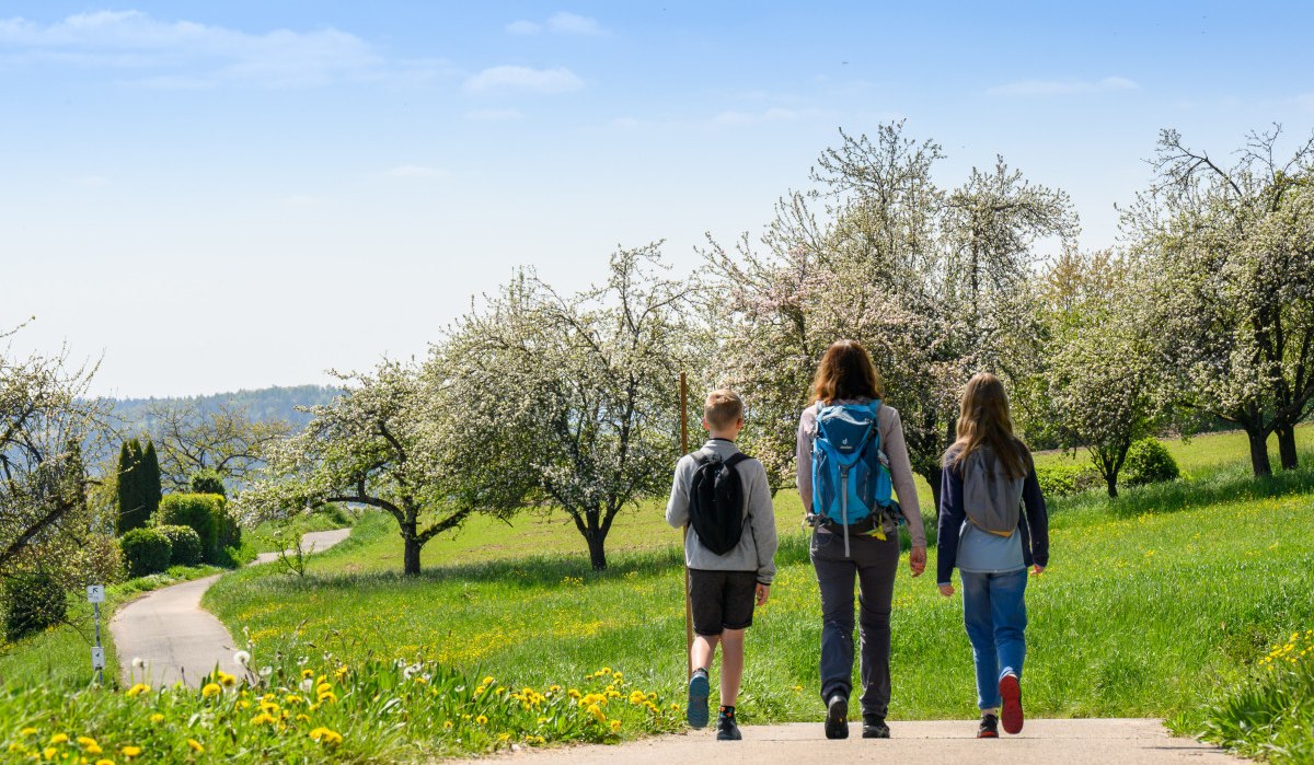 Drei Personen mit Rucksäcken wandern auf einem Weg durch eine grüne, blühende Landschaft mit Bäumen unter blauem Himmel., © Stadtverwaltung Winnenden
