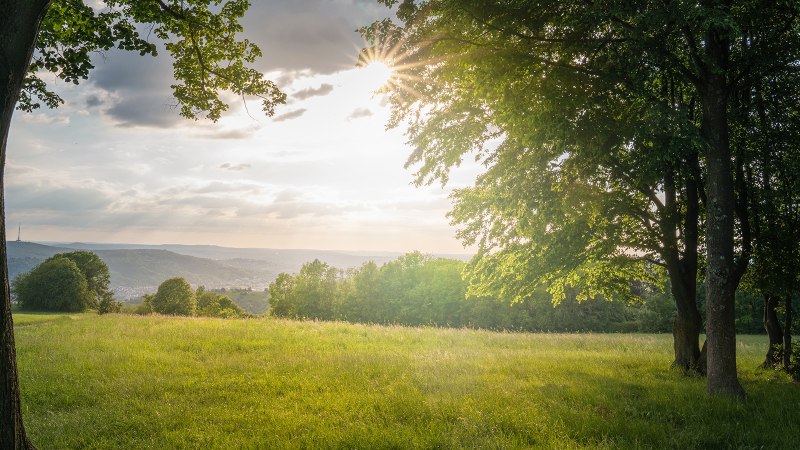 Sonnenstrahlen durchbrechen die Wolken über einer grünen Wiese, umgeben von Bäumen. Im Hintergrund sind Hügel und ein Turm sichtbar., © SMG, Martina Denker Sonnenstrahlen durchbrechen die Wolken über einer grünen Wiese, umgeben von Bäumen. Im Hintergrund sind Hügel und ein Turm sichtbar., © SMG, Martina Denker