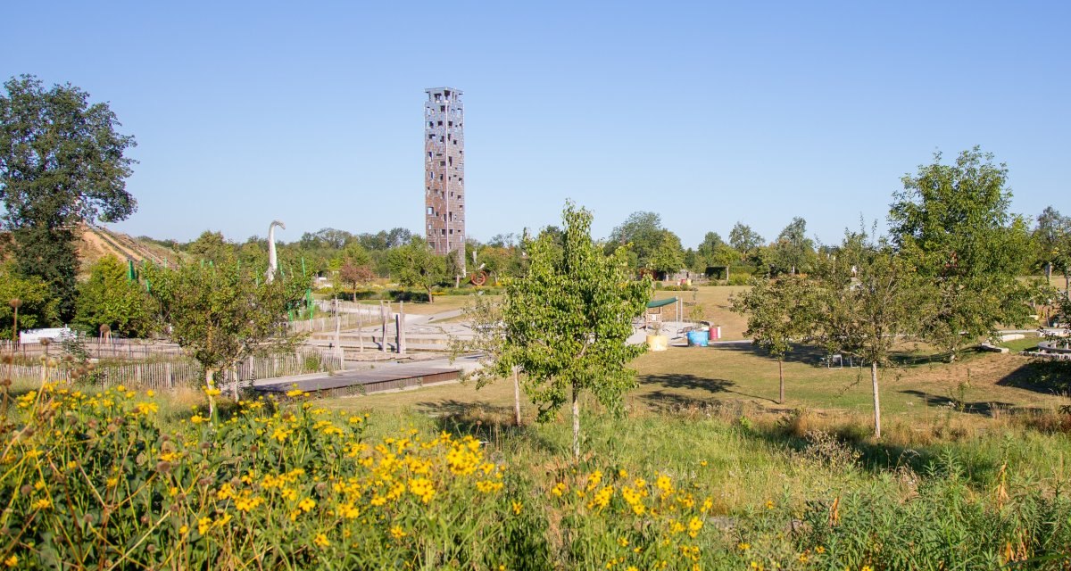 Ein Park mit einem hohen Kletterturm, umgeben von Bäumen und Wiesen. Gelbe Blumen blühen im Vordergrund unter klarem Himmel., © Mario Klaiber Ein Park mit einem hohen Kletterturm, umgeben von Bäumen und Wiesen. Gelbe Blumen blühen im Vordergrund unter klarem Himmel., © Mario Klaiber