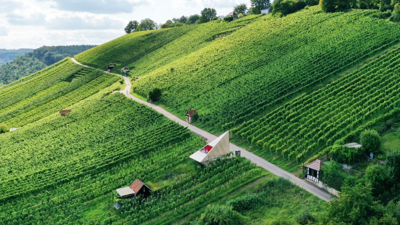 Grüne Weinberge am Grafenberg in Schorndorf, durchzogen von einem Weg. Kleine Gebäude sind zwischen den Reben verteilt., © Bebop Media