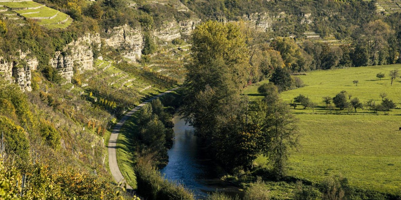 Enzschlinge, Vaihingen an der Enz, © SMG, Sarah Schmid Enzschlinge, Vaihingen an der Enz, © SMG, Sarah Schmid
