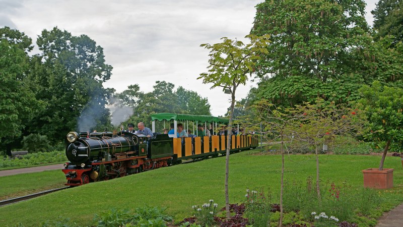 Eine kleine Dampflokomotive zieht bunte Waggons durch einen grünen Park mit Bäumen und Blumen., © Andreas Pucka Eine kleine Dampflokomotive zieht bunte Waggons durch einen grünen Park mit Bäumen und Blumen., © Andreas Pucka