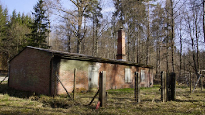 Ein altes Backsteingeb&auml;ude mit Schornstein steht in einem lichten Wald. Ein verfallener Zaun umgibt das Geb&auml;ude.