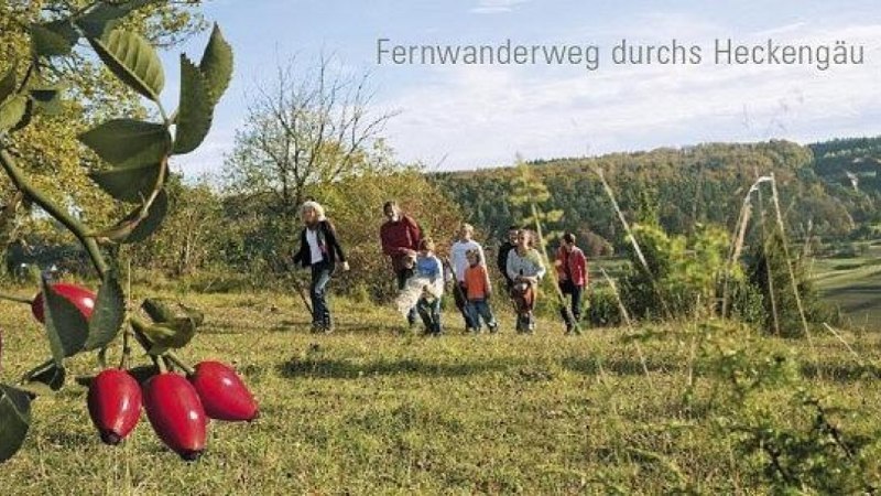 Gruppe von Menschen wandert durch eine gr&uuml;ne Landschaft im Heckeng&auml;u. Im Vordergrund sind rote Hagebutten zu sehen., &copy; Natur.Nah. Sch&ouml;nbuch & Heckeng&auml;u