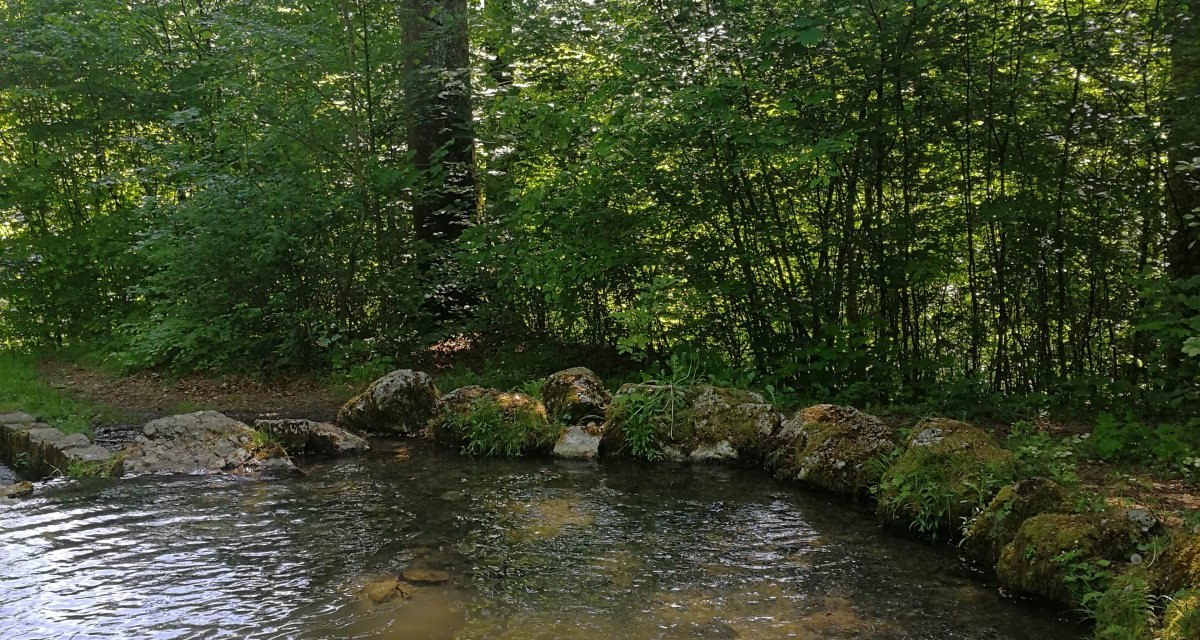Der Quellteich (Fischerbrunnen) am Sirchinger Wasserfall, &copy; Bad Urach Tourismus