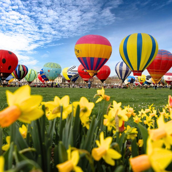 Bunte Hei&szlig;luftballons steigen &uuml;ber einer Wiese mit gelben Narzissen in den blauen Himmel auf. Ein lebendiges Fr&uuml;hlingsbild., &copy; Dennis Straub