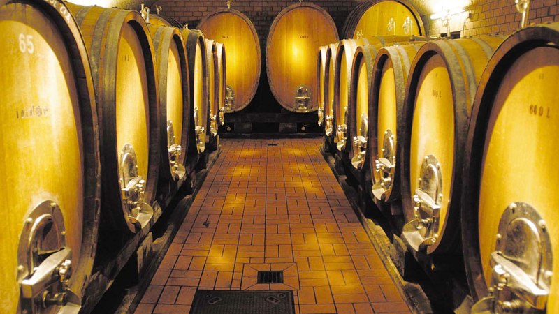 Ein Weinkeller mit gro&szlig;en Holzf&auml;ssern, die in zwei Reihen entlang eines gefliesten Gangs stehen. Die F&auml;sser sind beleuchtet und in einem Gew&ouml;lbe untergebracht., &copy; Herzog von W&uuml;rttemberg