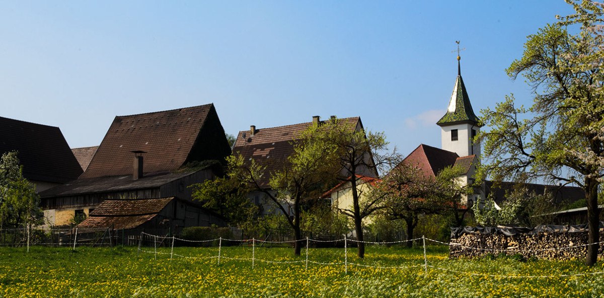 Ländliche Szene mit Kirche und Fachwerkhäusern, umgeben von blühenden Bäumen und Wiesen unter blauem Himmel., © Natur.Nah. Schönbuch & Heckengäu Ländliche Szene mit Kirche und Fachwerkhäusern, umgeben von blühenden Bäumen und Wiesen unter blauem Himmel., © Natur.Nah. Schönbuch & Heckengäu