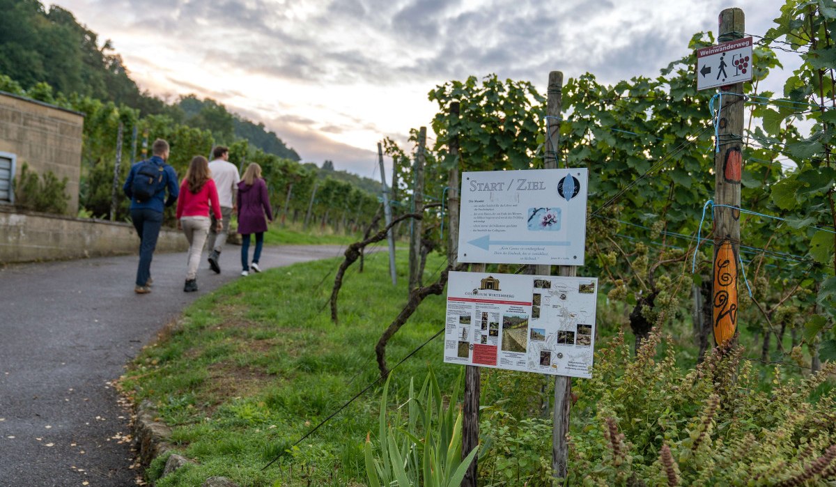 Vier Personen wandern auf einem Weg durch Weinberge. Schilder markieren den Start/Ziel des Weinwanderwegs., © Stuttgart-Marketing GmbH, Martina Denker Vier Personen wandern auf einem Weg durch Weinberge. Schilder markieren den Start/Ziel des Weinwanderwegs., © Stuttgart-Marketing GmbH, Martina Denker