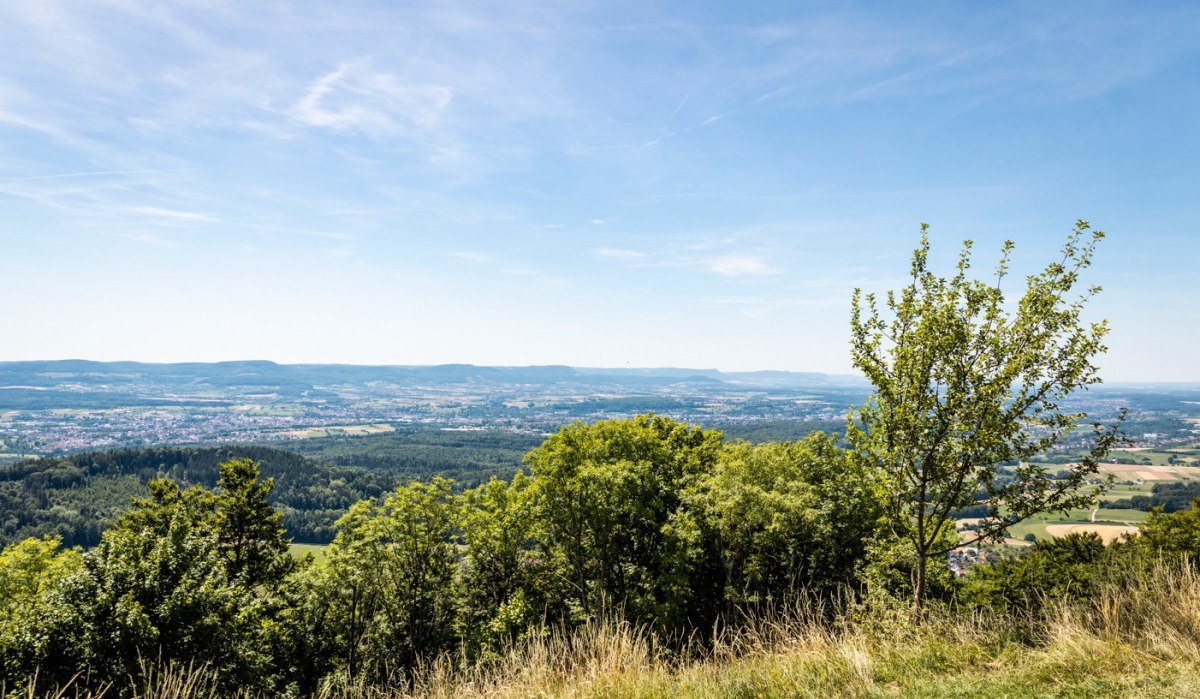 Panoramablick von einem Hügel mit Bäumen im Vordergrund und einer weiten Landschaft im Hintergrund unter blauem Himmel., © © Stefan Kuhn Photography