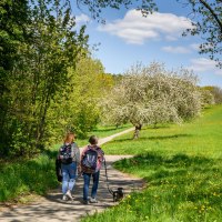 Zwei Personen mit Rucksäcken und einem Hund spazieren auf einem Weg durch eine grüne Landschaft mit blühenden Bäumen unter blauem Himmel., © Stadtverwaltung Winnenden