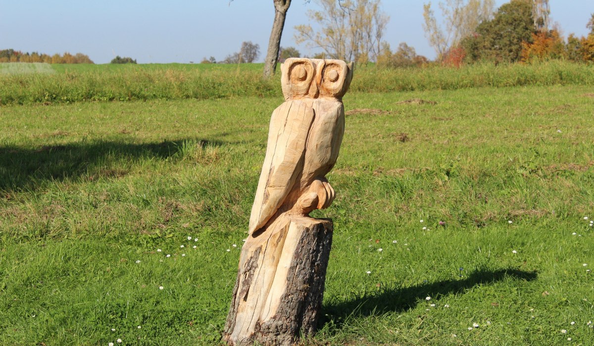 Eine Holzskulptur in Form einer Eule steht auf einem Baumstumpf in einer grünen Wiese unter blauem Himmel., © Natur.Nah. Schönbuch & Heckengäu Eine Holzskulptur in Form einer Eule steht auf einem Baumstumpf in einer grünen Wiese unter blauem Himmel., © Natur.Nah. Schönbuch & Heckengäu