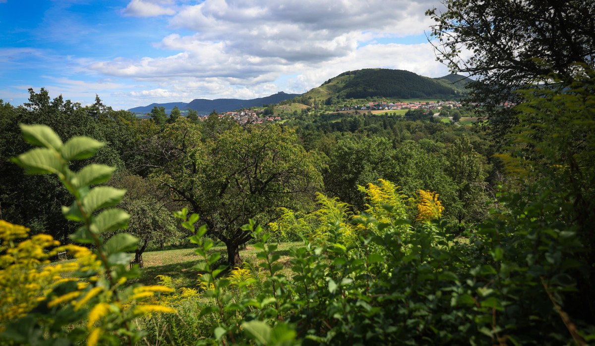 Blick auf eine grüne Landschaft mit Hügeln, Bäumen und einem Dorf im Hintergrund unter einem bewölkten Himmel.