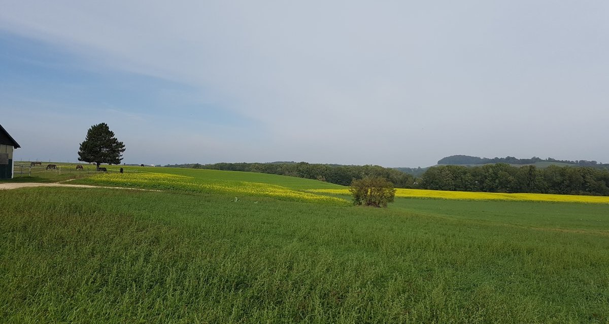 Grüne Felder und Wiesen erstrecken sich bis zum Horizont, gesäumt von Bäumen. Ein Gebäude und ein Baum sind links im Bild zu sehen., © Remstal Tourismus e.V. Grüne Felder und Wiesen erstrecken sich bis zum Horizont, gesäumt von Bäumen. Ein Gebäude und ein Baum sind links im Bild zu sehen., © Remstal Tourismus e.V.