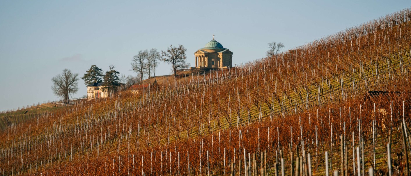Weinberge erstrecken sich über einen Hügel, im Hintergrund steht ein Mausoleum auf der Kuppe, umgeben von kahlen Bäumen., © SMG, Thomas Niedermüller