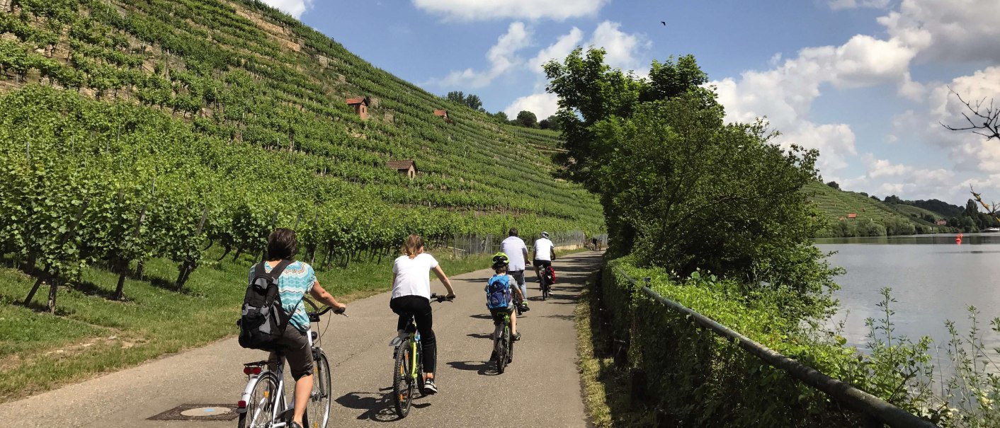 Neckartalradweg, © SMG