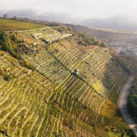Luftaufnahme von terrassierten Weinbergen in Vaihingen an der Enz. Die Landschaft ist herbstlich gefärbt, mit einem Fluss und Gebäuden im Hintergrund., © Stuttgart-Marketing GmbH, Sarah Schmid Luftaufnahme von terrassierten Weinbergen in Vaihingen an der Enz. Die Landschaft ist herbstlich gefärbt, mit einem Fluss und Gebäuden im Hintergrund., © Stuttgart-Marketing GmbH, Sarah Schmid
