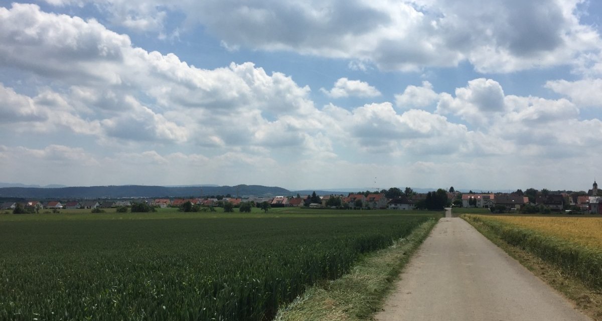 Ein asphaltierter Radweg f&uuml;hrt durch gr&uuml;ne Felder zu einem Dorf am Horizont. Der Himmel ist bew&ouml;lkt, und die Landschaft wirkt friedlich und weitl&auml;ufig., &copy; www.pro-cycl.de