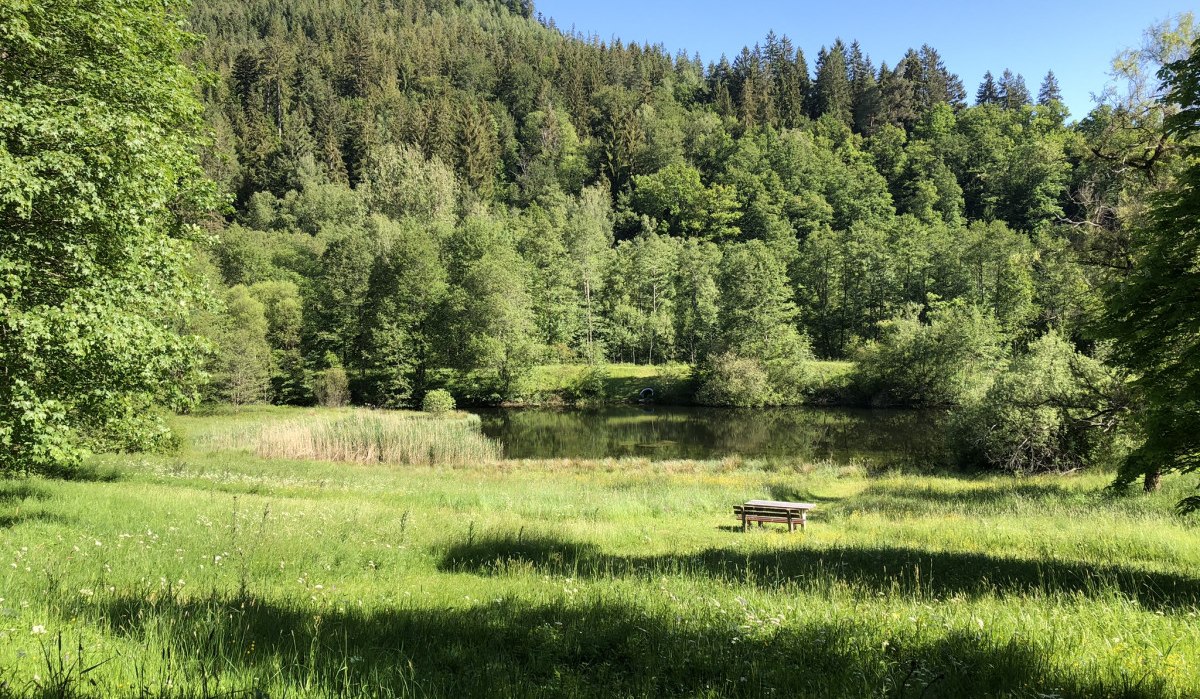 Ein idyllischer Teich inmitten eines Waldes, umgeben von grünen Wiesen und Bäumen, mit einer Bank im Vordergrund unter blauem Himmel., © Nördlicher Schwarzwald Ein idyllischer Teich inmitten eines Waldes, umgeben von grünen Wiesen und Bäumen, mit einer Bank im Vordergrund unter blauem Himmel., © Nördlicher Schwarzwald