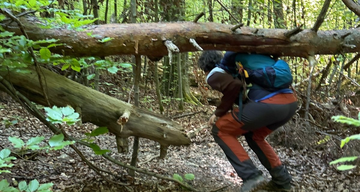 Schurwaldabenteuer Bannwald, © Kulturamt Stadt Plochingen Schurwaldabenteuer Bannwald, © Kulturamt Stadt Plochingen