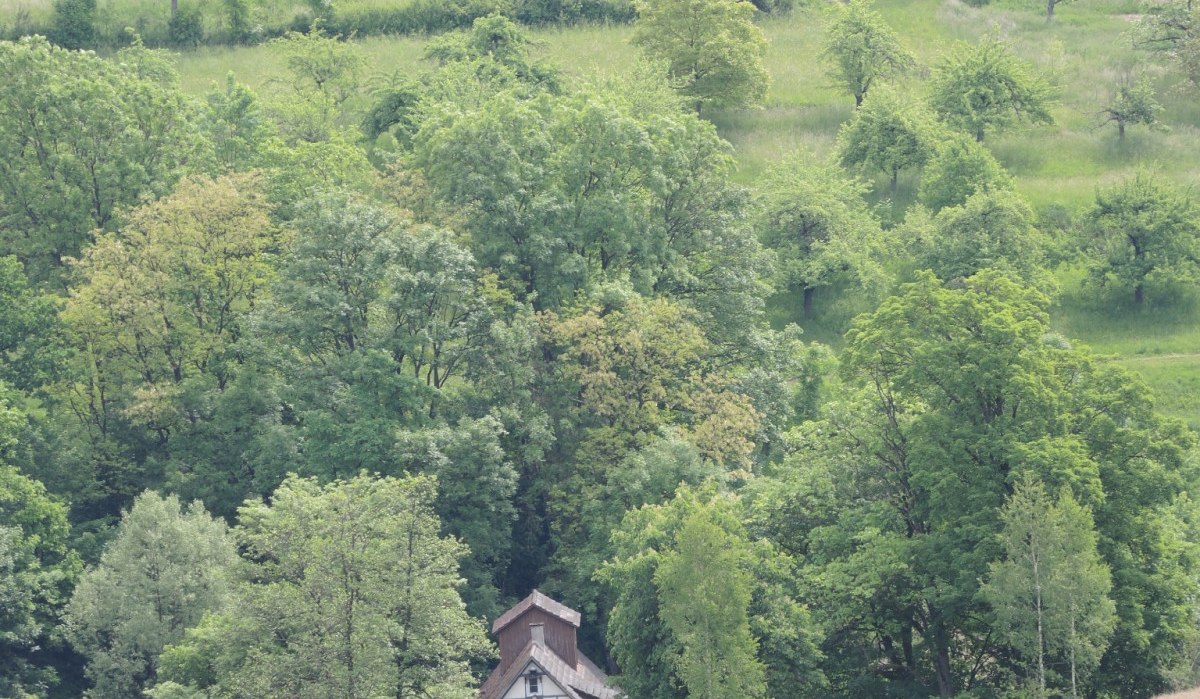 Ein idyllisches Fachwerkhaus eingebettet in eine gr&uuml;ne, h&uuml;gelige Landschaft mit &uuml;ppigen B&auml;umen und Wiesen., &copy; Natur.Nah. Sch&ouml;nbuch & Heckeng&auml;u