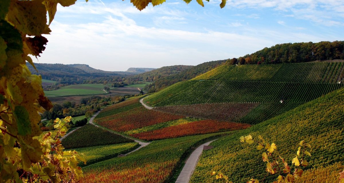 Weinberge bei Gündelbach, © Naturpark Stromberg-Heuchelberg Weinberge bei Gündelbach, © Naturpark Stromberg-Heuchelberg