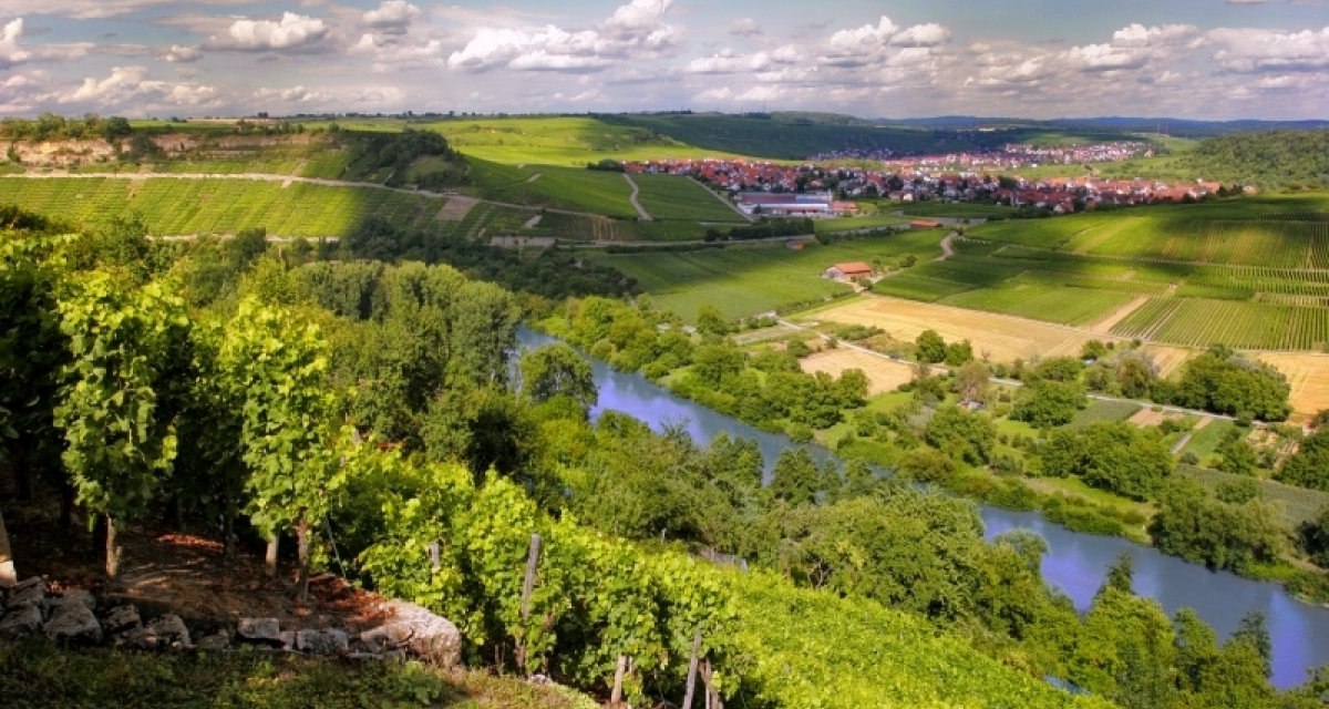 Weinberge in Hessigheim mit Blick auf einen Fluss und ein Dorf im Hintergrund, unter einem bewölkten Himmel., © Felsengartenkellerei Besigheim eG Weinberge in Hessigheim mit Blick auf einen Fluss und ein Dorf im Hintergrund, unter einem bewölkten Himmel., © Felsengartenkellerei Besigheim eG