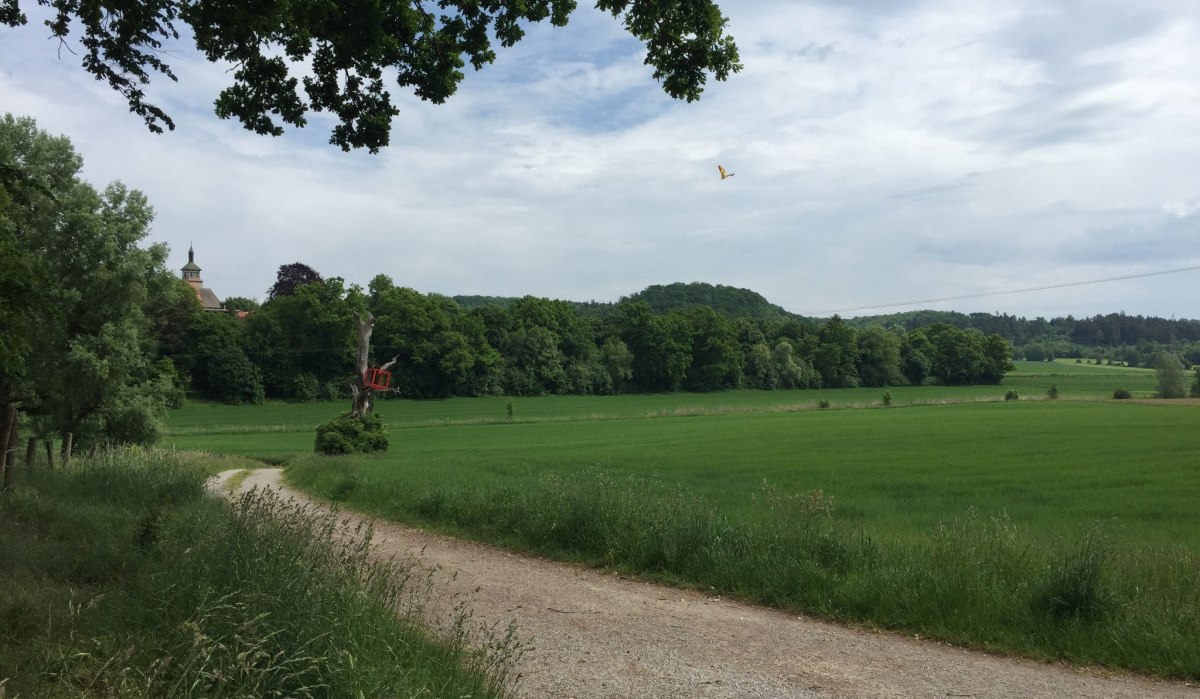 Ein Feldweg schl&auml;ngelt sich durch eine gr&uuml;ne Landschaft. Ein rotes Kunstwerk ist an einem Baumstumpf zu sehen, im Hintergrund ein Geb&auml;ude., &copy; www.pro-cycl.de