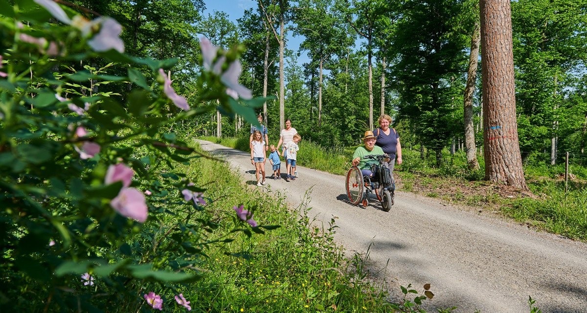 Eine Familie spaziert auf einem Waldweg. Ein Mann im Rollstuhl wird von einer Frau begleitet. Blumen und Bäume umgeben den Weg., © Natur.Nah. Schönbuch & Heckengäu Eine Familie spaziert auf einem Waldweg. Ein Mann im Rollstuhl wird von einer Frau begleitet. Blumen und Bäume umgeben den Weg., © Natur.Nah. Schönbuch & Heckengäu