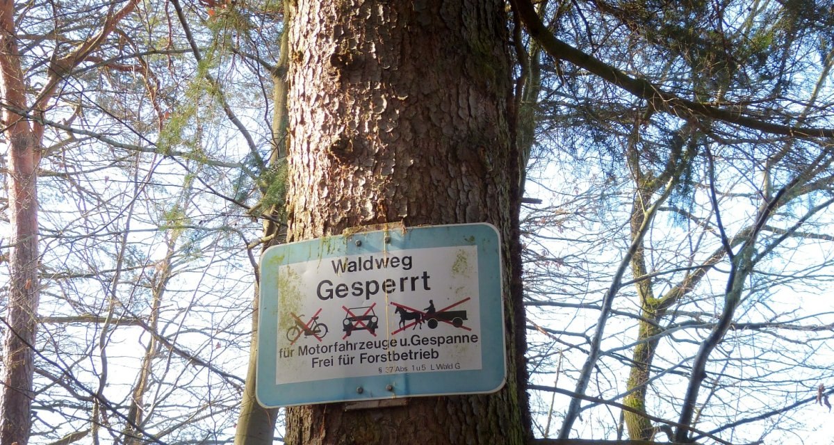 Ein Baum mit Schildern: 'Würmhaldenweg', 'Waldweg Gesperrt' und Wegmarkierungen HW5 und gelbe Raute. Der Baum steht in einem Waldgebiet., © Natur.Nah. Schönbuch & Heckengäu Ein Baum mit Schildern: 'Würmhaldenweg', 'Waldweg Gesperrt' und Wegmarkierungen HW5 und gelbe Raute. Der Baum steht in einem Waldgebiet., © Natur.Nah. Schönbuch & Heckengäu