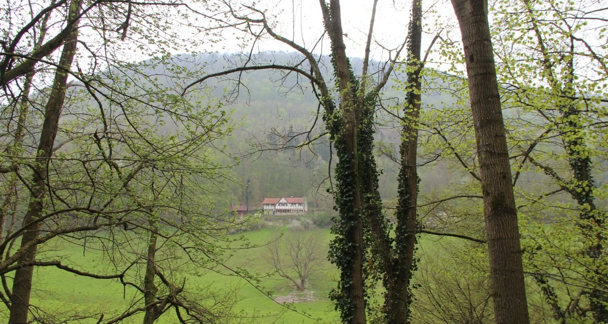 Vom Weg aus haben Sie einen tollen Blick auf das Seltbachhaus, © Bad Urach Tourismus Vom Weg aus haben Sie einen tollen Blick auf das Seltbachhaus, © Bad Urach Tourismus