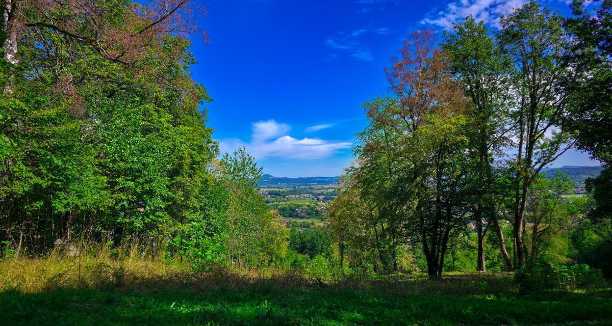 Ausblick Boller Heide, © Distrito de Göppingen Ausblick Boller Heide, © Distrito de Göppingen