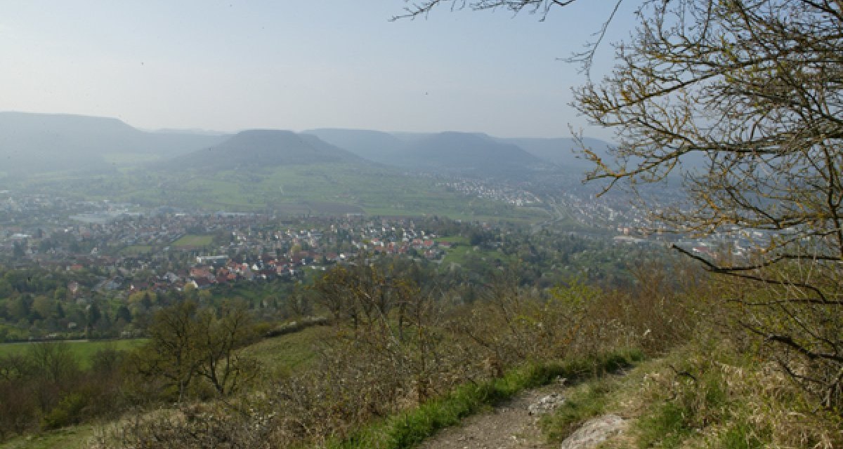 Panoramablick auf eine Stadt im Tal, umgeben von Hügeln. Im Vordergrund sind Bäume und ein Pfad zu sehen., © Sphäre Verlag Panoramablick auf eine Stadt im Tal, umgeben von Hügeln. Im Vordergrund sind Bäume und ein Pfad zu sehen., © Sphäre Verlag