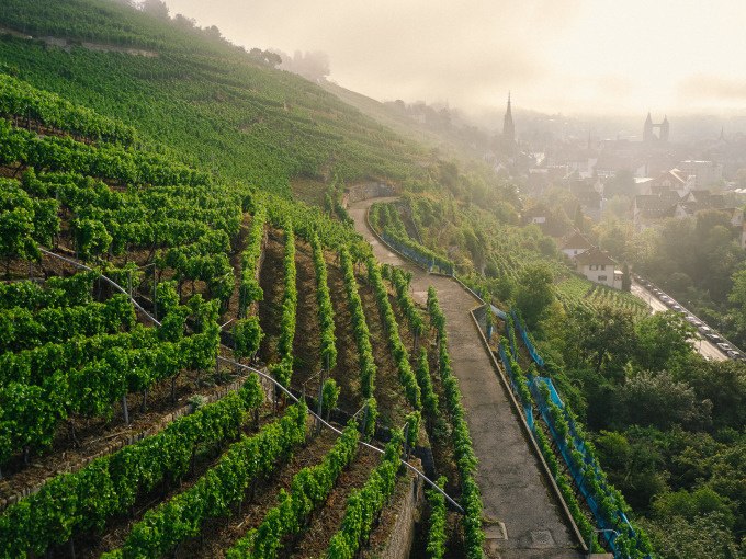Weinberge am Schenkenberg in Esslingen, mit einem nebligen Blick auf die Stadt im Hintergrund., © Esslinger Stadtmarketing & Tourismus GmbH Weinberge am Schenkenberg in Esslingen, mit einem nebligen Blick auf die Stadt im Hintergrund., © Esslinger Stadtmarketing & Tourismus GmbH