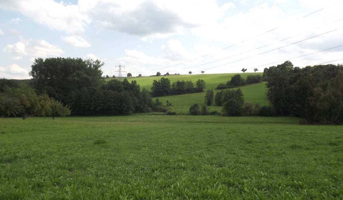 Weite gr&uuml;ne Wiese mit sanften H&uuml;geln und vereinzelten B&auml;umen, Stromleitungen im Hintergrund, unter einem leicht bew&ouml;lkten Himmel., &copy; Natur.Nah. Sch&ouml;nbuch & Heckeng&auml;u