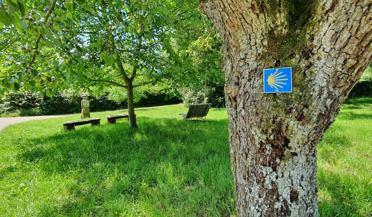 Ein Baum mit Jakobsweg-Schild, Bänke und eine Statue auf einer grünen Wiese unter blauem Himmel., © Kulturamt Plochingen Ein Baum mit Jakobsweg-Schild, Bänke und eine Statue auf einer grünen Wiese unter blauem Himmel., © Kulturamt Plochingen
