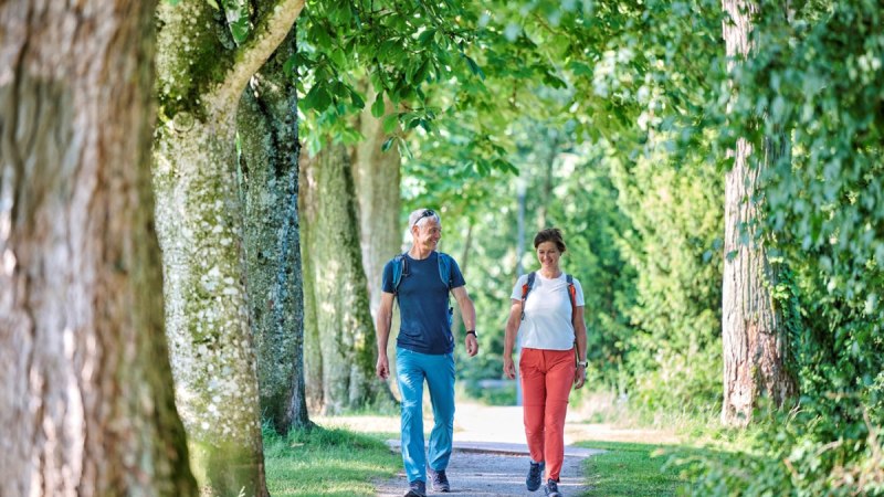 Wanderer auf Wanderweg, © Touristikgemeinschaft Hohenlohe e. V. | Florian Trykowski