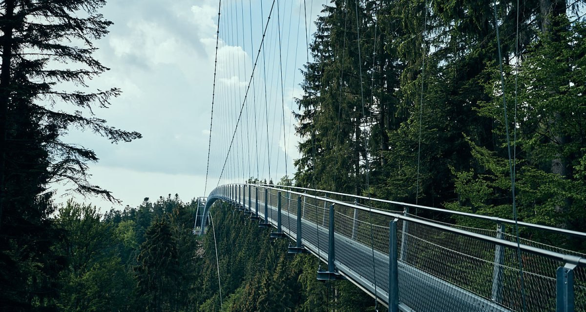 Die H&auml;ngebr&uuml;cke WILDLINE erstreckt sich &uuml;ber einen bewaldeten Abgrund, umgeben von hohen B&auml;umen und einem bew&ouml;lkten Himmel., &copy; N&ouml;rdlicher Schwarzwald