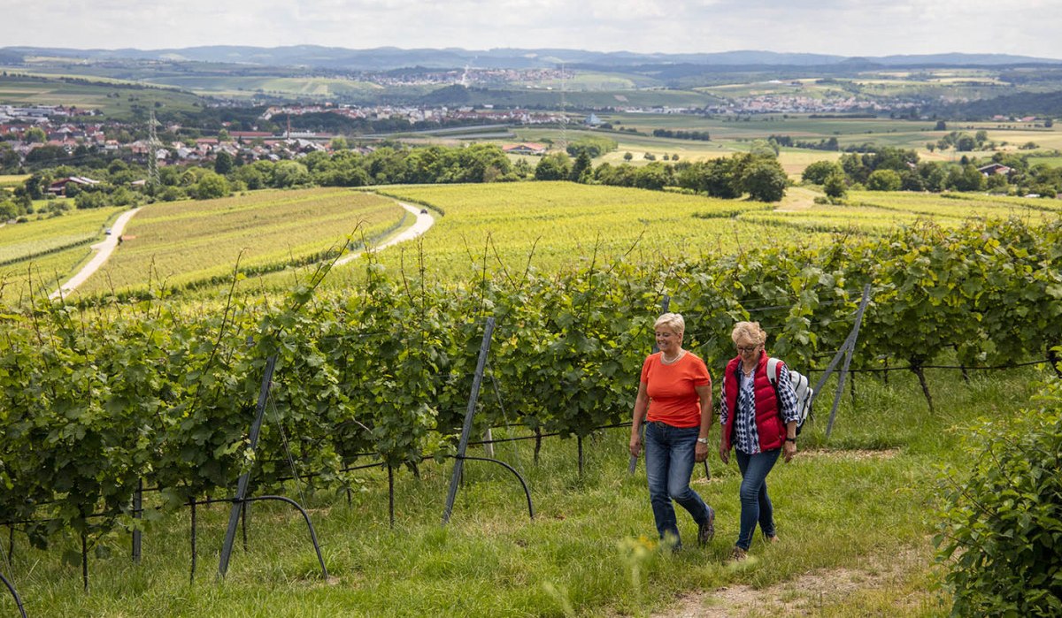 Zwei Frauen wandern durch einen Weinberg. Im Hintergrund erstreckt sich eine weite, hügelige Landschaft mit Feldern und einem Dorf., © Land der 1000 Hügel - Kraichgau-Stromberg