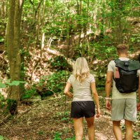 Zwei Personen wandern auf einem schattigen Waldweg. Sie sind von dichtem, grünem Laub umgeben und tragen Freizeitkleidung., © Landkreis Göppingen Zwei Personen wandern auf einem schattigen Waldweg. Sie sind von dichtem, grünem Laub umgeben und tragen Freizeitkleidung., © Landkreis Göppingen