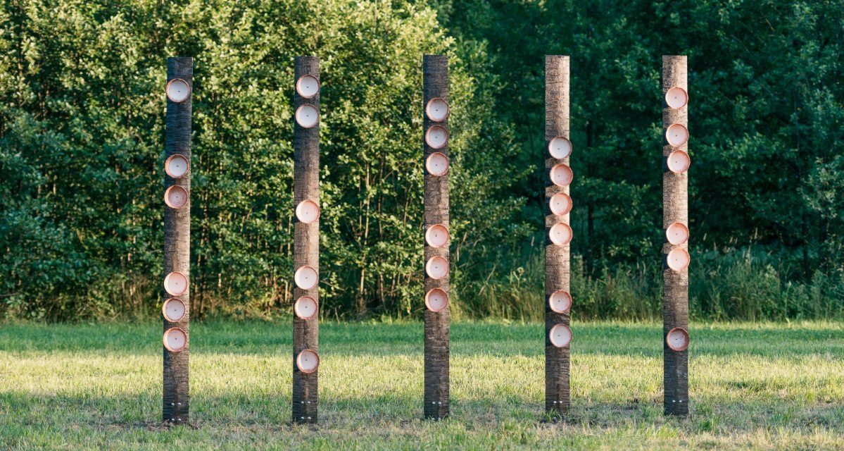 Fünf Holzstämme mit befestigten Schalen stehen in einer Wiese vor einem dichten Wald. Die Anordnung wirkt künstlerisch und symbolisch., © Natur.Nah. Schönbuch & Heckengäu Fünf Holzstämme mit befestigten Schalen stehen in einer Wiese vor einem dichten Wald. Die Anordnung wirkt künstlerisch und symbolisch., © Natur.Nah. Schönbuch & Heckengäu