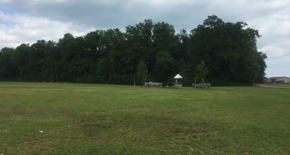 Weite Wiese mit einem Grillplatz und Bänken, umgeben von Bäumen. Der Himmel ist bewölkt, und im Hintergrund sind Gebäude zu sehen., © www.pro-cycl.de Weite Wiese mit einem Grillplatz und Bänken, umgeben von Bäumen. Der Himmel ist bewölkt, und im Hintergrund sind Gebäude zu sehen., © www.pro-cycl.de