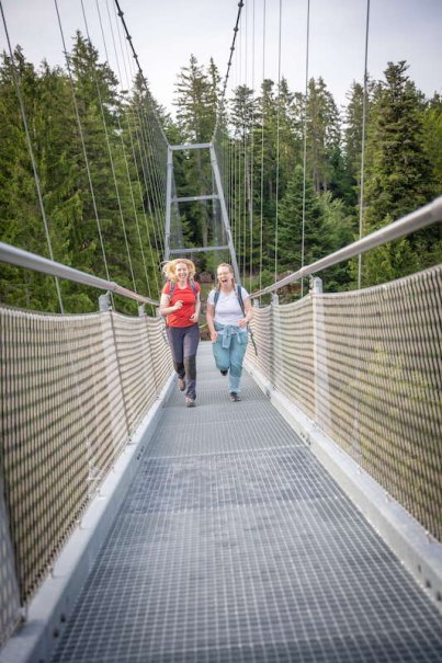 2. Globetrotter Wandertage Schwarzwald: Wanderung "Entdecke die wilde Seite von Bad Wildbad", © Touristik Bad Wildbad GmbH