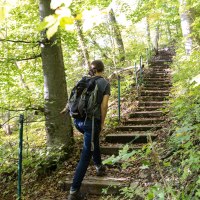 Eine Person mit Rucksack steigt eine steile, bewaldete Treppe hinauf. Die Umgebung ist grün und dicht bewachsen., © Foto Thomas Zehnder
