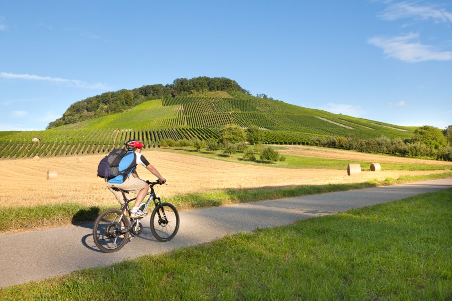 Fahrradfahrer_E-Bike_Bottwartal-Foto_Corinna_Holzer, &copy; Jede Nutzung bedarf einer vorherigen Vereinbarung mit der Urheberin. Ver&ouml;ffentlichungen nur mit Nennung der Fotografin Corinna Holzer.