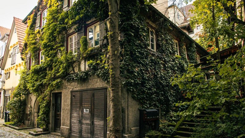 Ein charmantes Fachwerkhaus in Esslingen, dessen Fassade von dichtem Efeu bedeckt ist. Die enge Gasse ist mit Kopfsteinpflaster ausgelegt., © Stuttgart-Marketing GmbH, Sarah Schmid Ein charmantes Fachwerkhaus in Esslingen, dessen Fassade von dichtem Efeu bedeckt ist. Die enge Gasse ist mit Kopfsteinpflaster ausgelegt., © Stuttgart-Marketing GmbH, Sarah Schmid