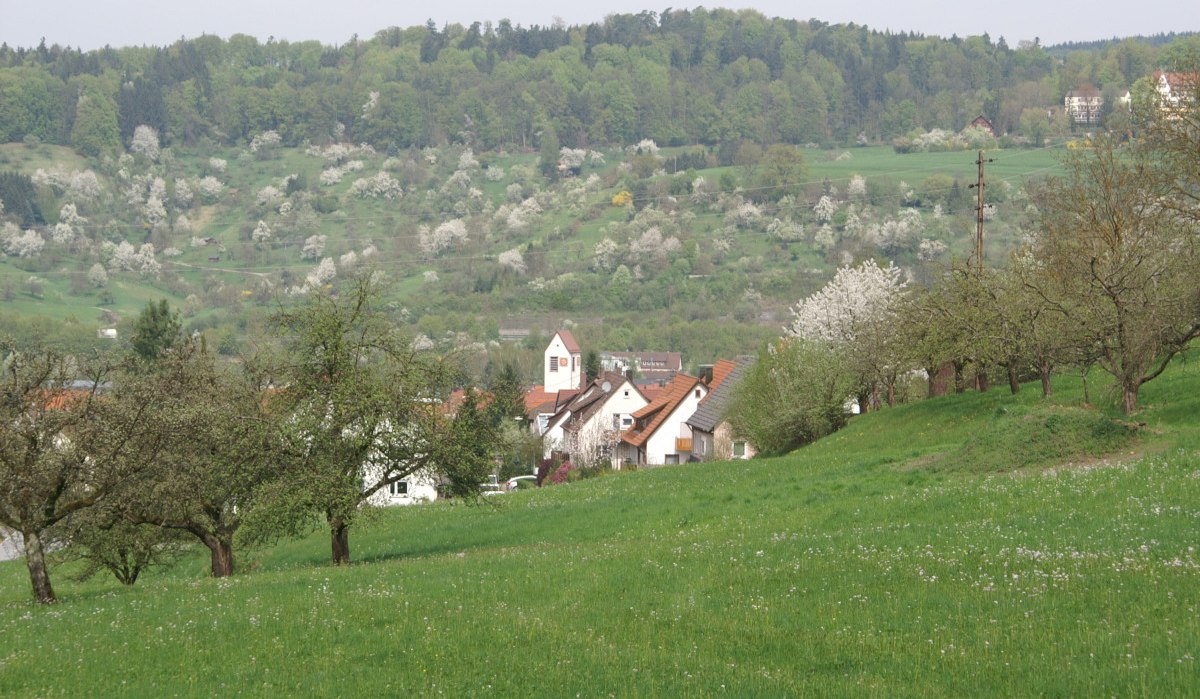 Grüne Wiesen mit blühenden Bäumen, ein Dorf mit roten Dächern und eine bewaldete Hügelkette im Hintergrund., © Stadt Lorch